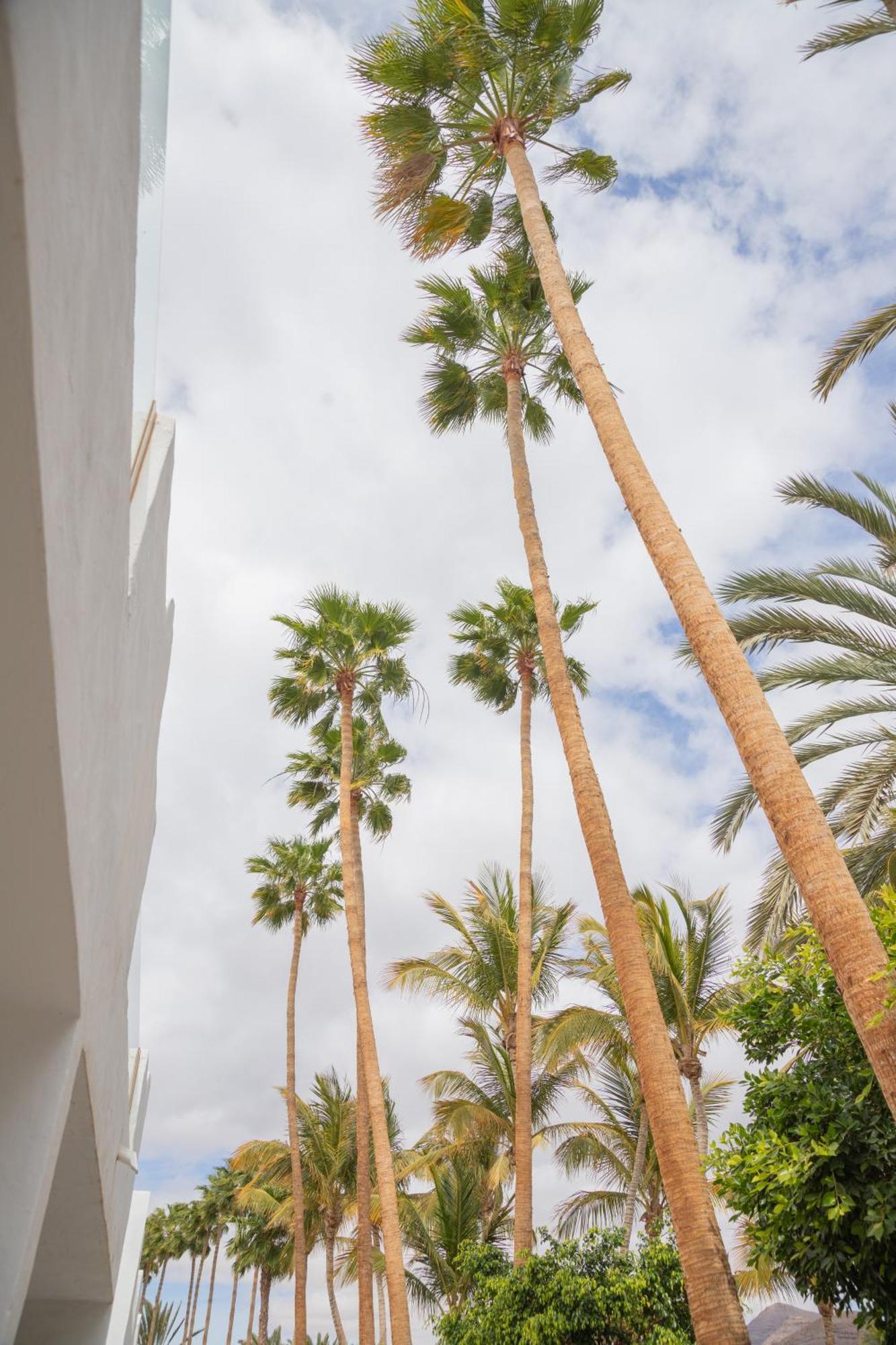Apartment Palm Fuerteventura *