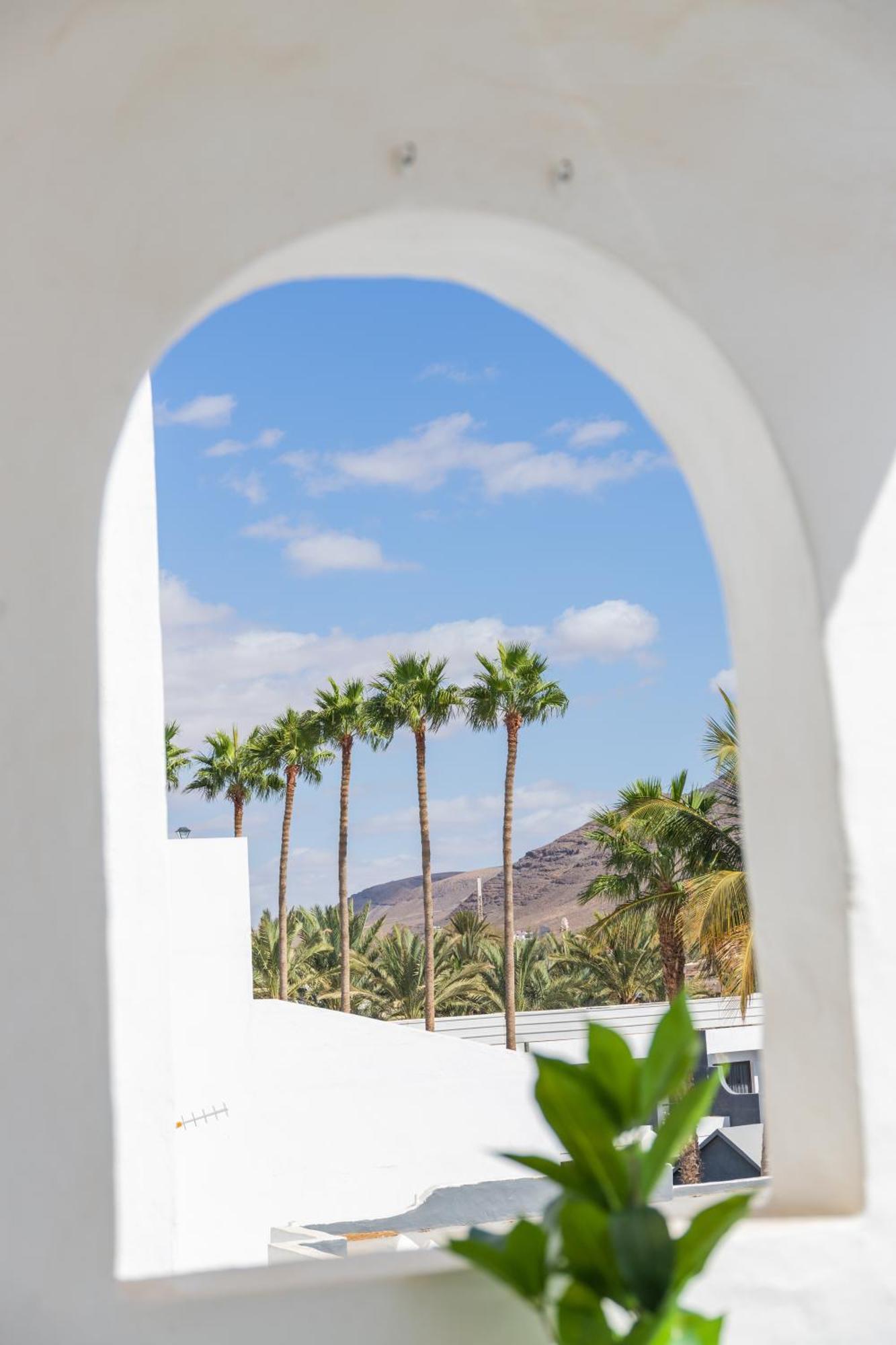 Palm Fuerteventura Tarajalejo