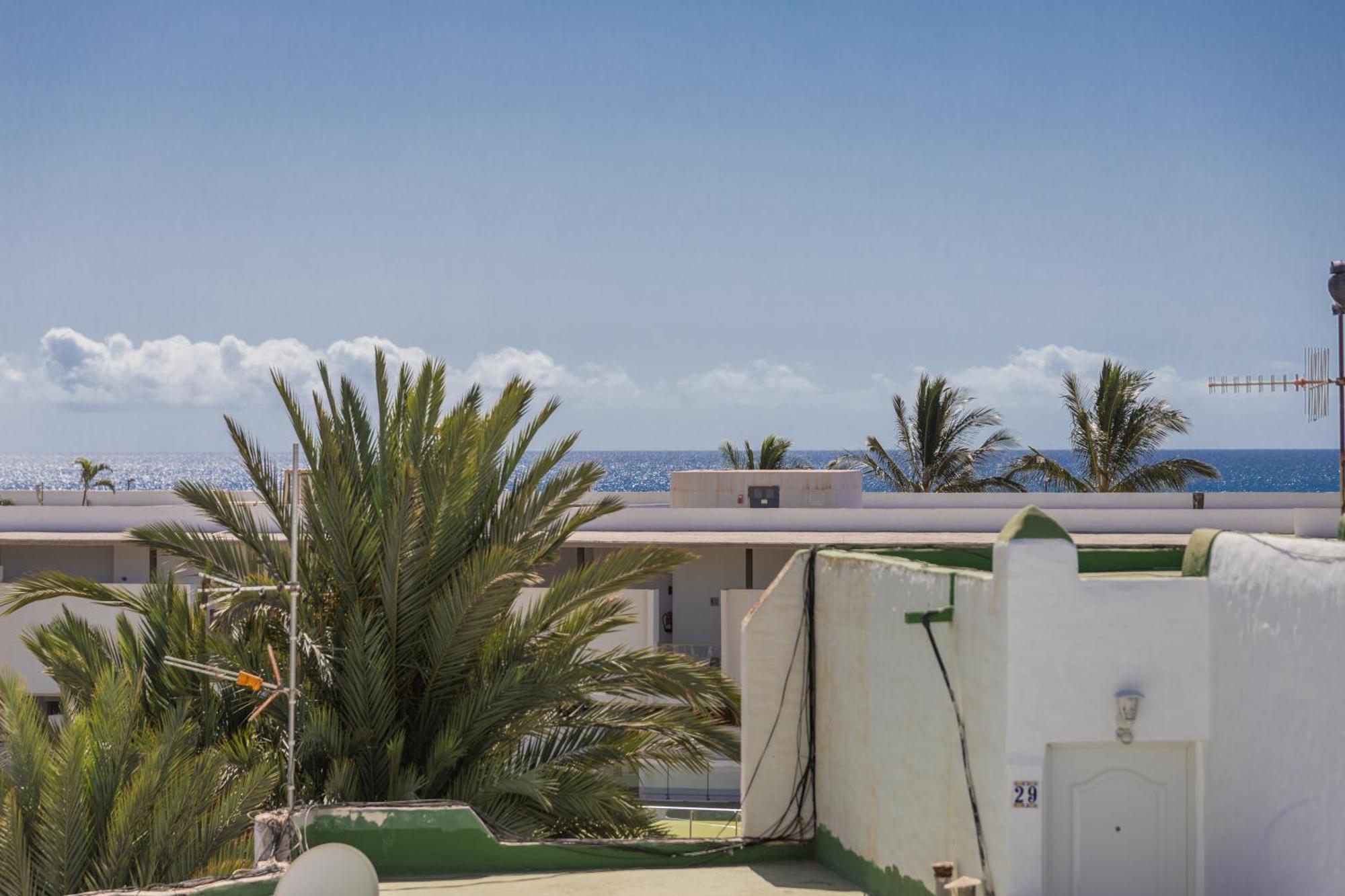 Palm Fuerteventura *